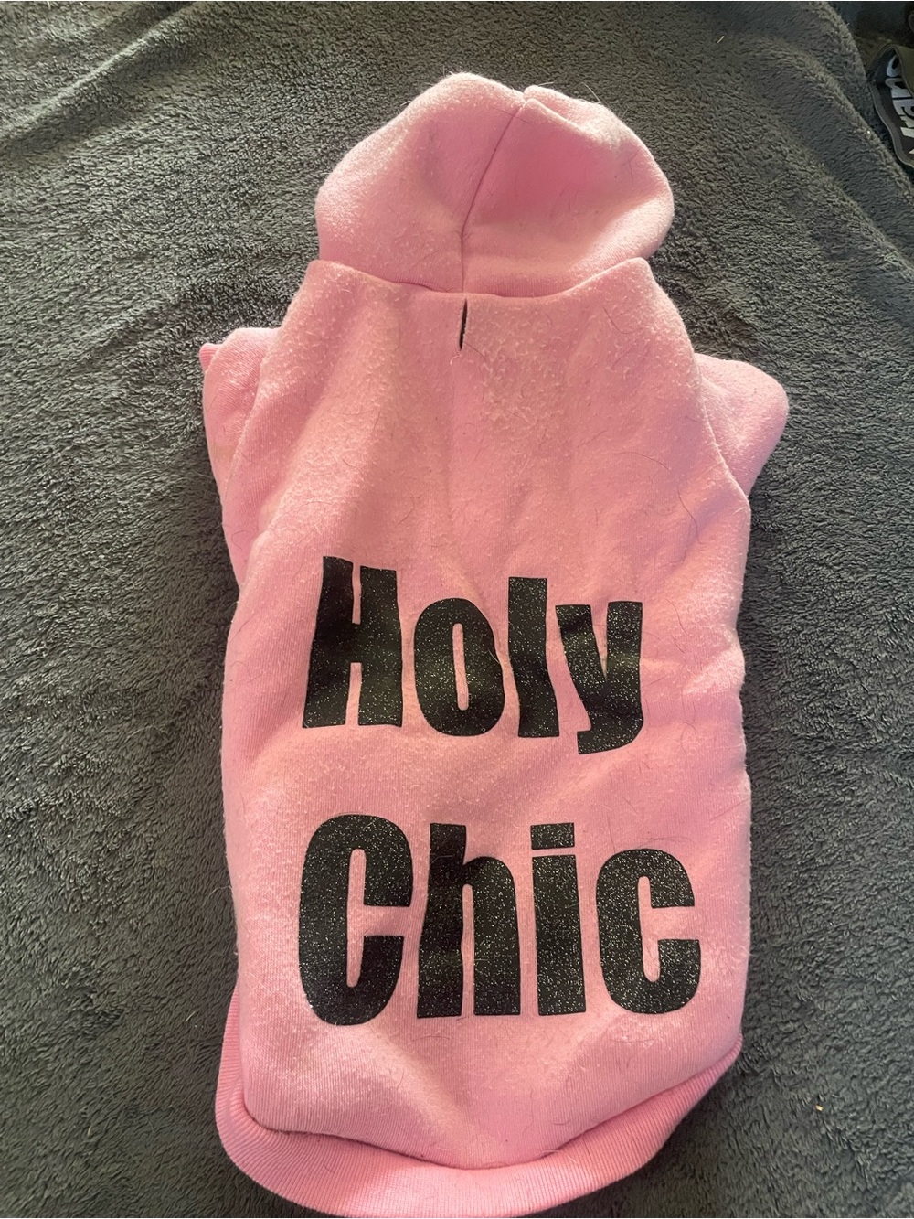 Holy Chic Pink Dog Hoodie